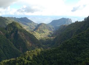 Landscape seen on a Fauna & Flora excursion